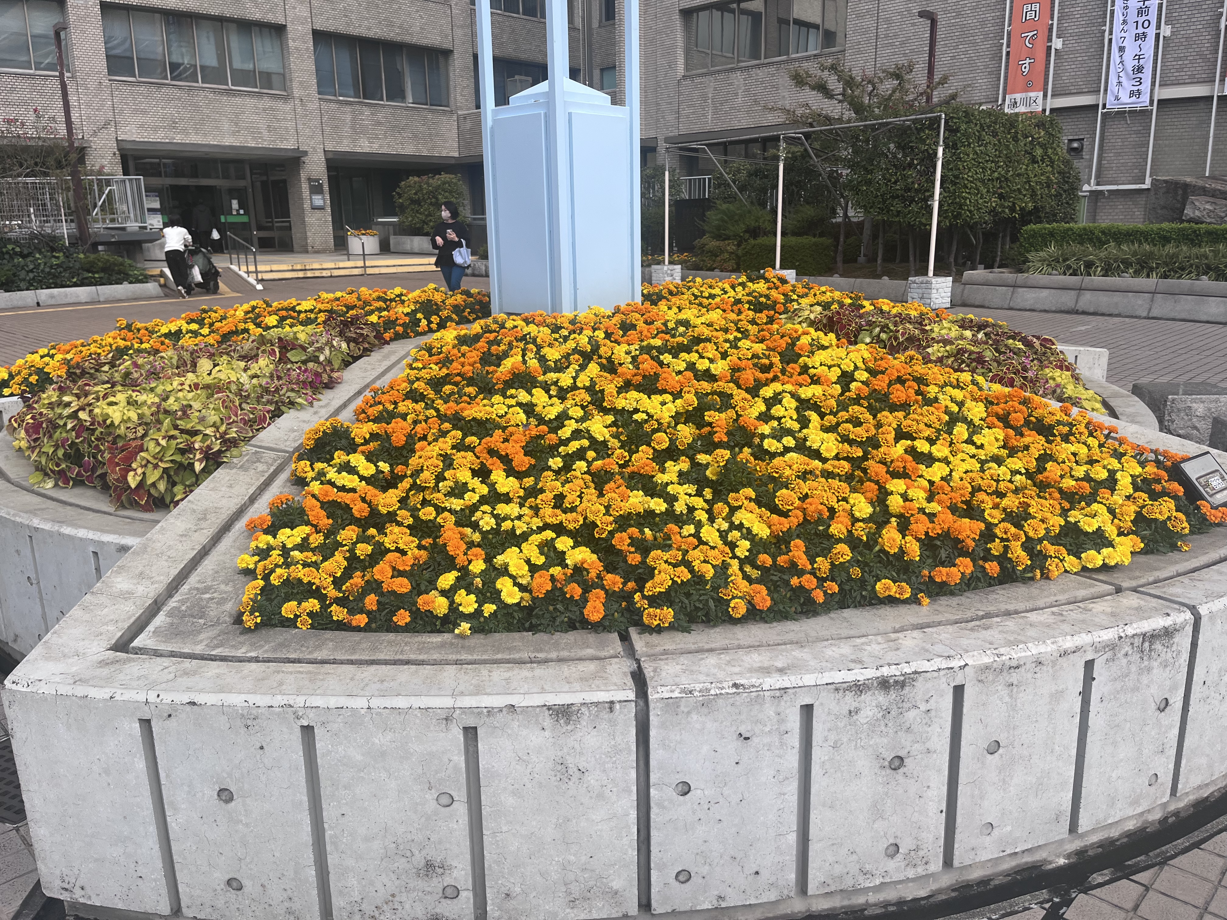 区役所花壇