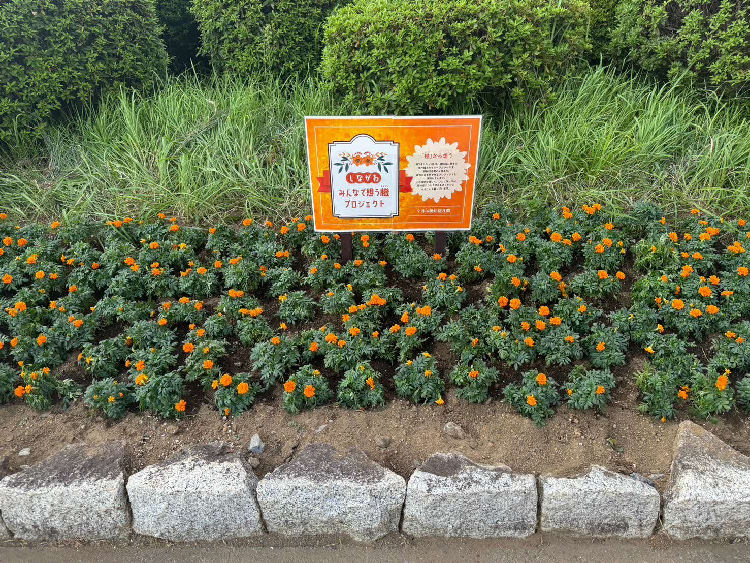 西大井駅前花壇